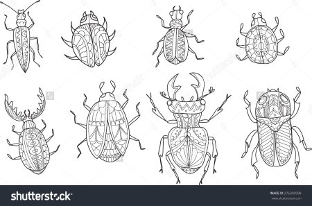 Жук раскраска