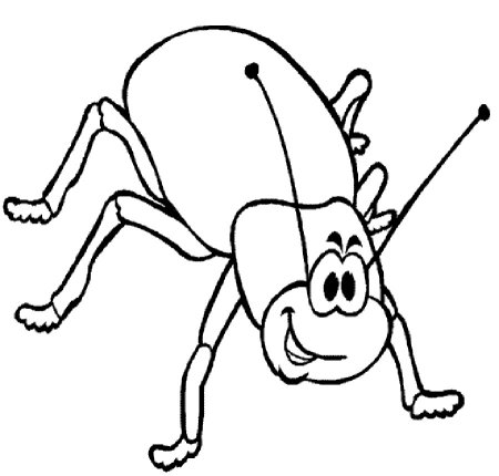 Жук раскраска
