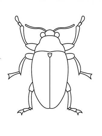 Жук Златка раскраска