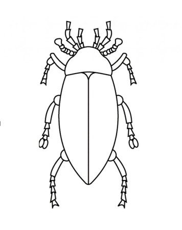 Жук раскраска для детей