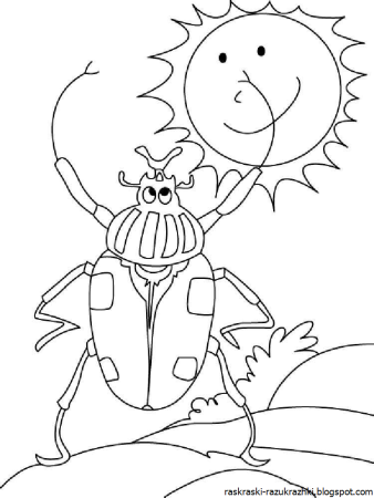 Жук раскраска для детей