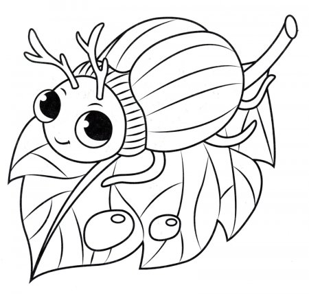 Раскраска Жук и жучок