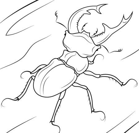 Жук раскраска для детей