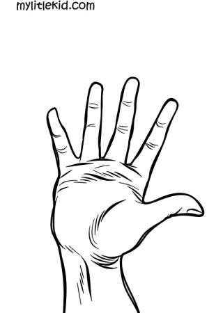 Раскраски ладошки детские