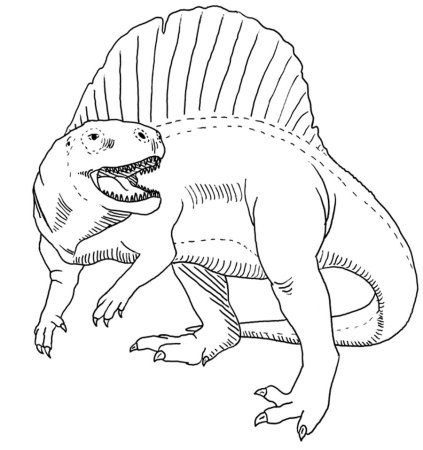 Раскраска Динозаврики для малышей