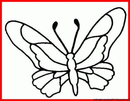 Раскраска "бабочки"