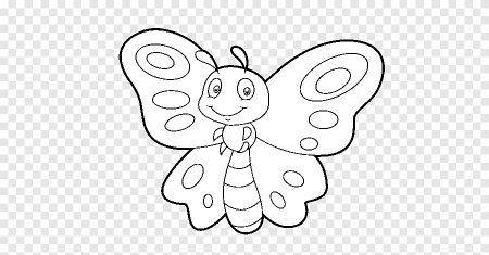 Раскраска "бабочки"