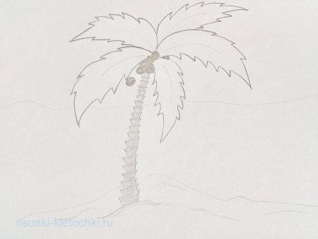 Пальма раскраска