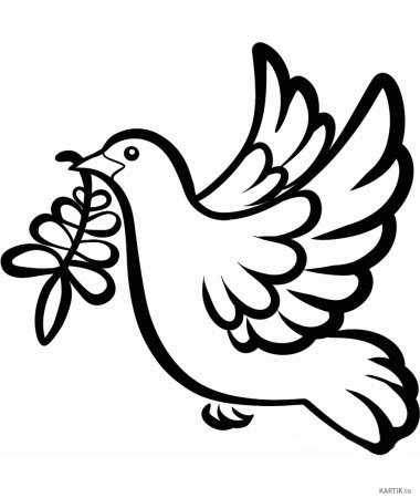 Голубь мира раскраска для детей