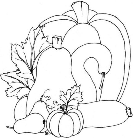 Натюрморт раскраска