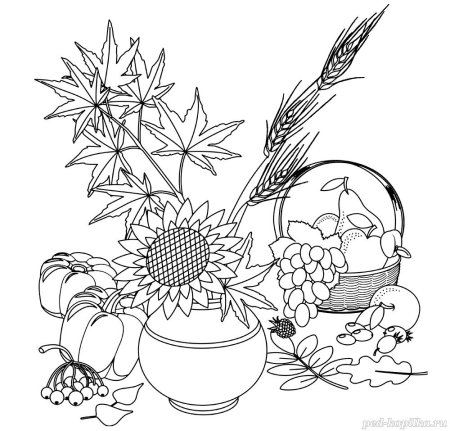 Осенний натюрморт раскраска для детей