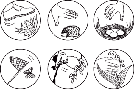 Раскраска охрана природы