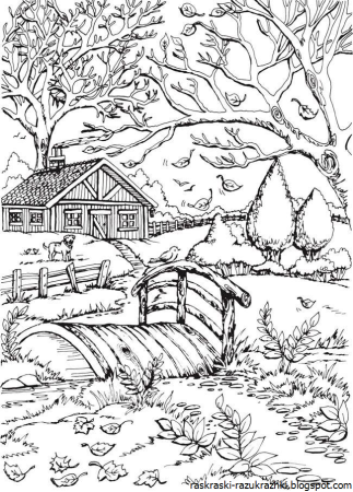 Раскраска природа