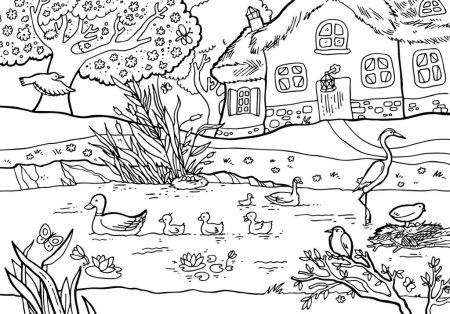 Раскраска природа