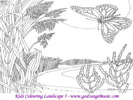 Раскраска природа