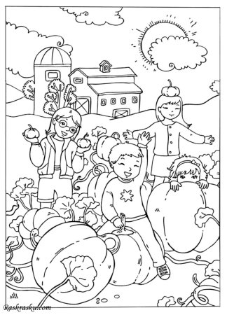 Раскраска сбор урожая