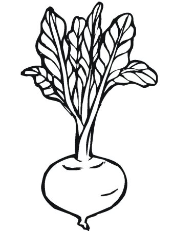 Репка рисунок