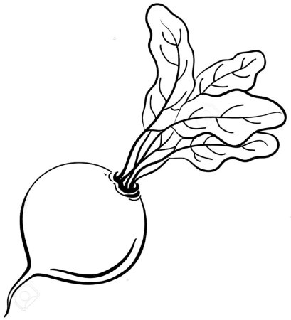 Свекла для раскрашивания