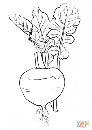 Свекла раскраска
