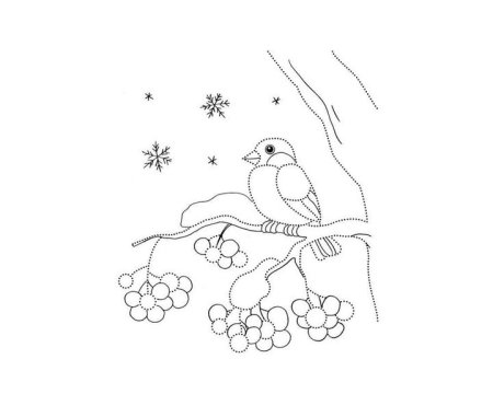 Снегирь раскраска для детей