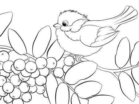 Раскраски на тему зимующие птицы