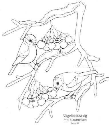 Снегирь на ветке раскраска