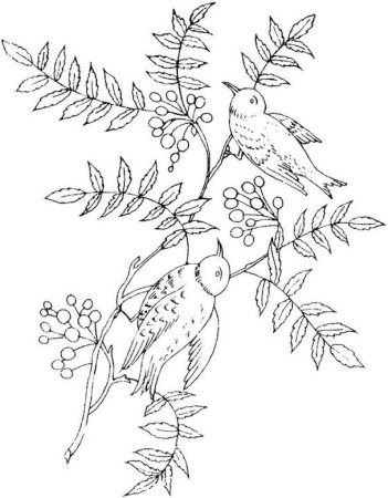 Снегирь на ветке раскраска