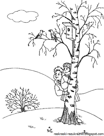 Береза без листьев