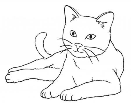 Раскраска кошечка