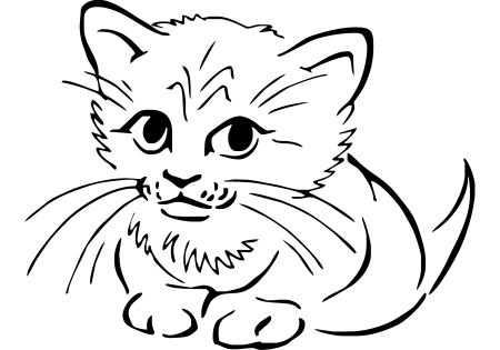 Котенок. Раскраска