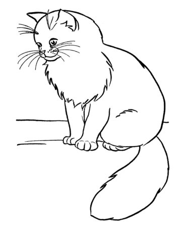 Раскраска котенок полосатый