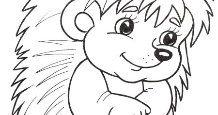 Ёжик раскраска для детей
