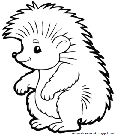 Детские раскраски Ежик