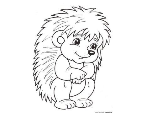 Еж раскраска