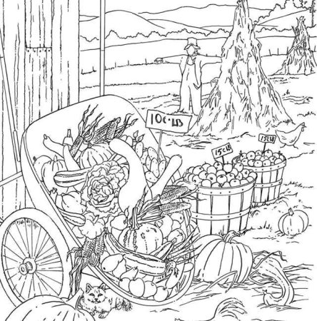 Раскраска сбор урожая