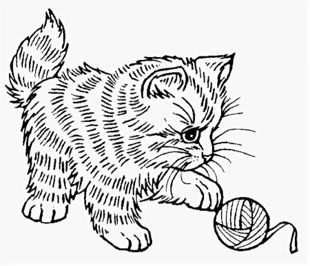 Раскраска кошечка