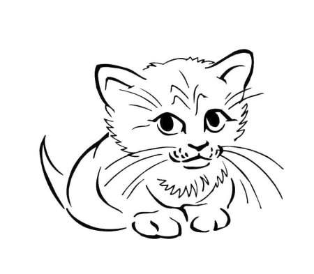 Котенок раскраска для малышей