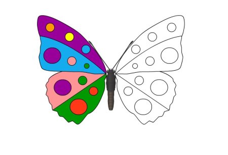 Бабочка раскраска для детей 3-4 лет