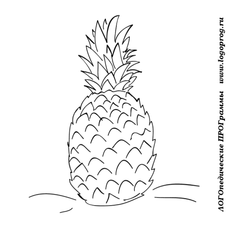 Тропические фрукты ананас эскиз