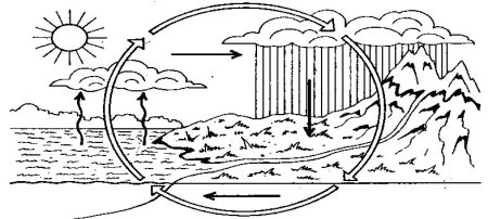 Раскраска н.а.Рыжовой – «круговорот воды в природе»