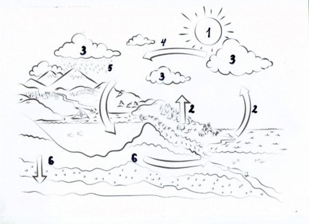 Круговорот воды в природе задания