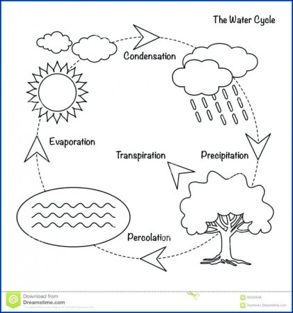 Схема для раскрашивания круговорот воды для дошкольников