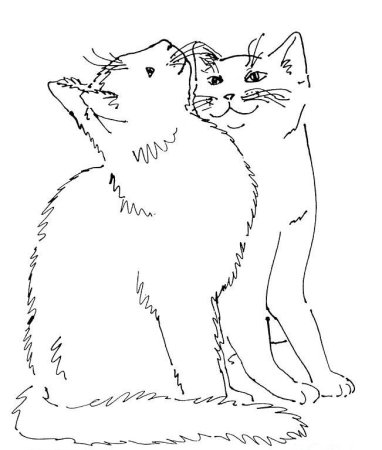 Два котенка раскраска