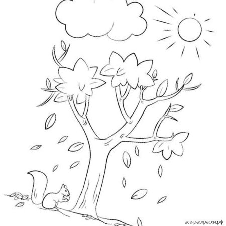 Осенняя раскраска