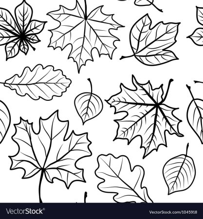 Осенний листопад раскраска