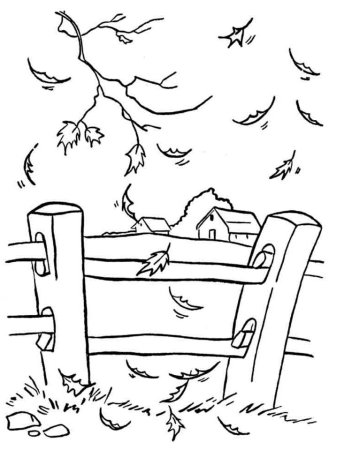 Осенние листья раскраска для детей