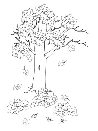 Раскраска осенний лес