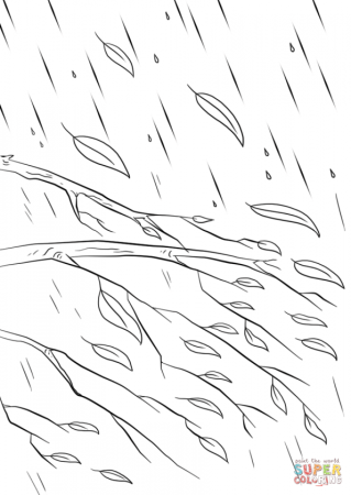 Листья раскраска