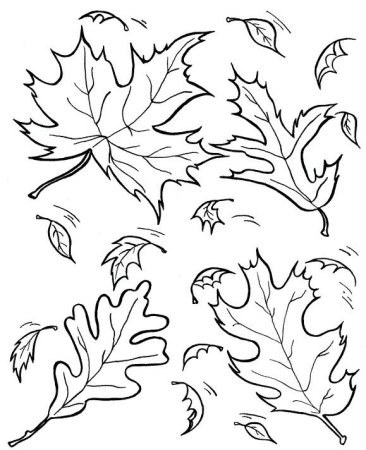 Раскраска. Осень