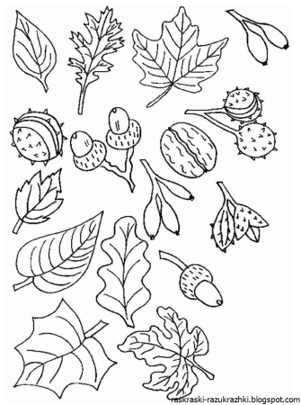 Раскраска листопад листик для детей